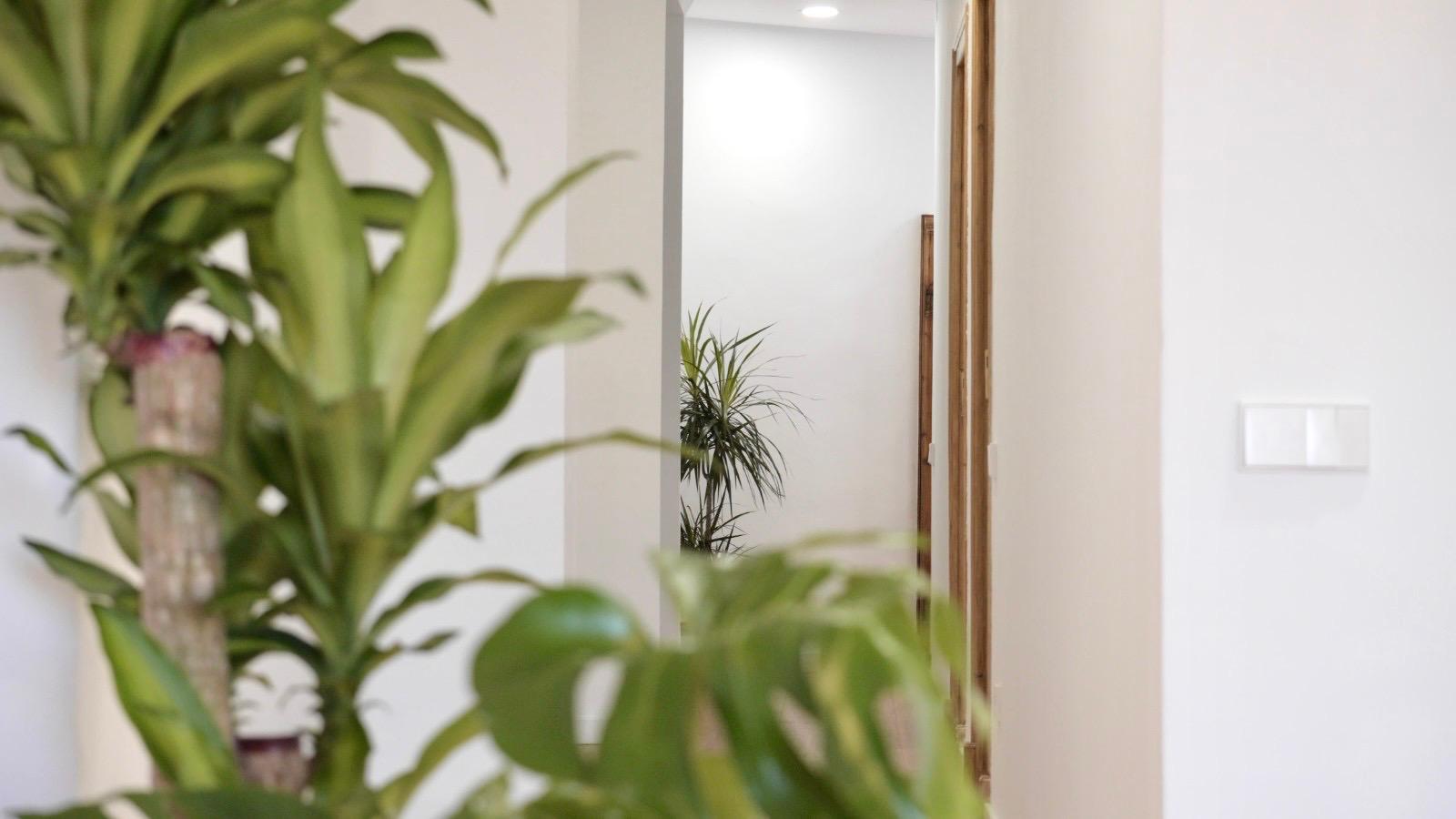 En alquiler, vivienda con bonitas vistas frente a las Torres de Serranos. València.